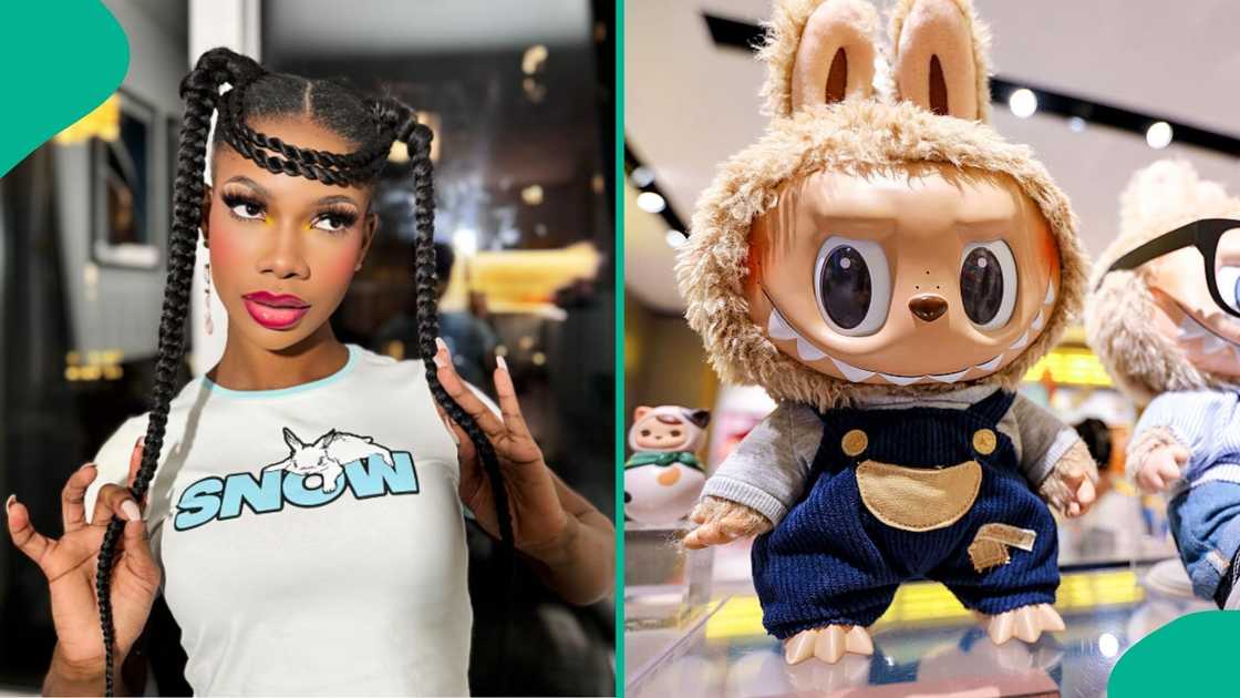 Labubu toy trend