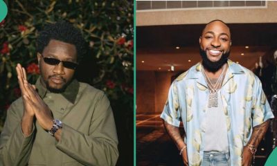 Nasboi Davido music collaboration