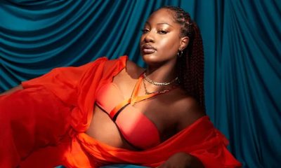 Tems FIFA performance