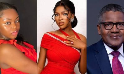 Saida Boj urges Dangote