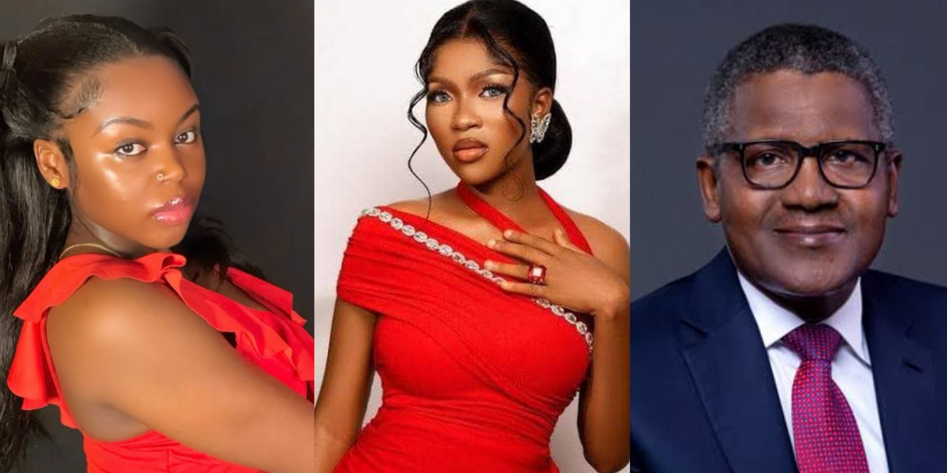 Saida Boj urges Dangote