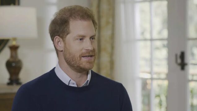 Prince Harry royal revelations response
