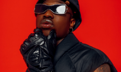 Zlatan Ibile boxing match plan