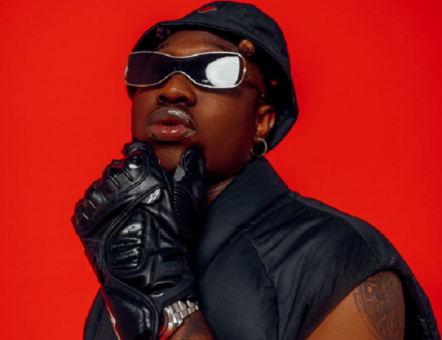 Zlatan Ibile boxing match plan